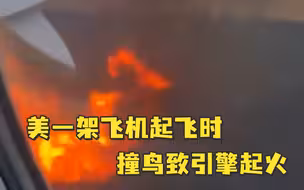 美一架飞机起飞时撞鸟致引擎起火，乘客惊恐尖叫