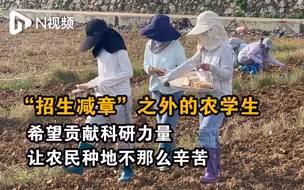 “招生减章”之外的农学生：希望贡献科研力量让农民种地不那么辛苦