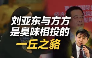 李肃：《科技日报》前总编辑刘亚东与方方是臭味相投的一丘之貉