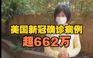 美国新冠确诊病例超662万