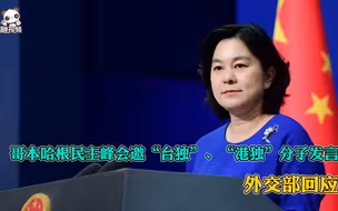 哥本哈根民主峰会邀“台独”、“港独”分子发言 外交部回应