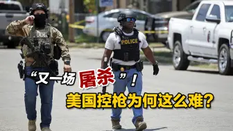 “又一场屠杀”！美国控枪为何这么难？