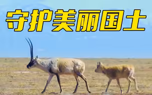 国家林草局：我国将建立世界最大的国家公园体系