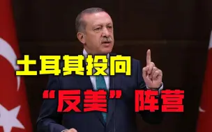 北约内部出现裂痕？中俄外交出奇招，土耳其应声投向“反美”阵营