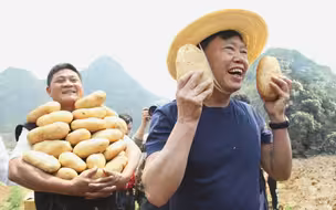 “农民院士”朱有勇：北京吃的土豆丝 5盘有4盘是我们种的
