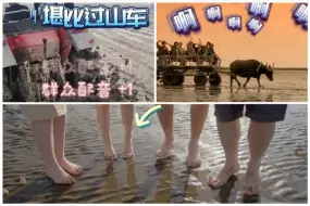 有料青年|坐拖拉机下海抓海货，赤脚感受赶海