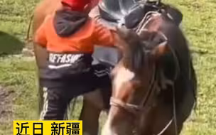 新疆三岁萌娃骑术惊艳网友，网友直呼：有被帅到