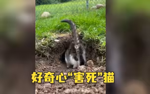 啊啊啊啊啊啊啊好可怕