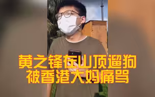 解气！黄之锋在山顶遛狗被香港大妈痛骂！