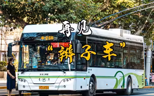 上海人的城市记忆！25路“辫子车”正式告别，“翘辫子”“煤精亭”你都见过吗？