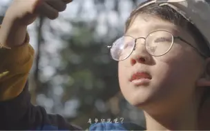 “给习爷爷的信”系列三——山水草木里的虫