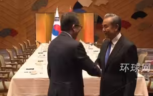 王毅在东京会晤韩外长赵兑烈，王毅：历史是本教科书，双方可以从中获得启迪和启示，进而照亮未来的行程