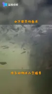 临安清凉峰自然保护区的水下世界
