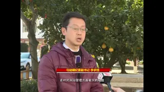 苍南：数字赋能推动村级监督迈向“指尖”时代