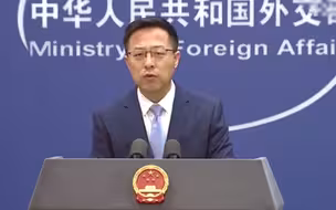 赵立坚讽刺美国对日本核废水身体很诚实：一边点赞 一边禁止进口