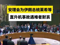 安理会为伊朗总统莱希等直升机事故遇难者默哀
