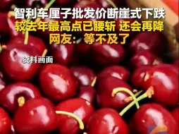 智利车厘子批发价断崖式下跌 较去年最高点已腰斩 网友：等不及了