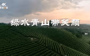 绿水青山带笑颜丨一片叶子富了一方百姓