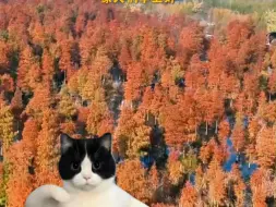 早上好！以时间为证，愿你保持好状态❤