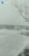 富阳安顶山的雪积起来啦