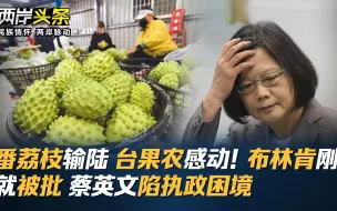 番荔枝输陆 台果农感动！布林肯刚走就被批 蔡英文陷执政困境