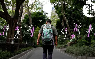 香港市花“洋紫荆”奇迹般的诞生故事