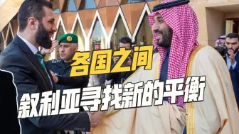 从沙特到土耳其，叙利亚新“总统”出访中东，这条“钢丝”不好走