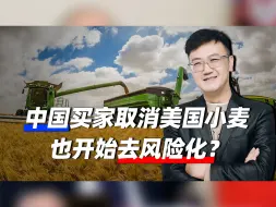 美国不断作死挑衅，中方回击来了？美出口商欲哭无泪，这回不惯着
