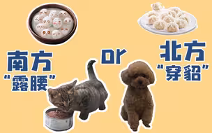 北方or南方？穿貂or露腰？饺子or汤圆？