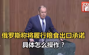 俄外长访问非洲，重申俄罗斯将履行粮食出口承诺。具体怎么操作？拉夫罗夫这样说……