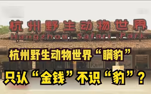 杭州野生动物世界“瞒豹” 只认“金钱”不识“豹”？