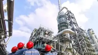 什么是“双碳”目标？去长江口这家化工厂找答案