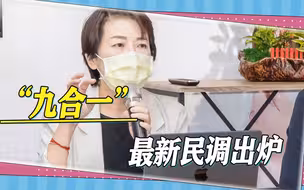 “九合一”最新民调出炉，国民党领跑台北、新北，民进党领跑桃园