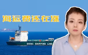 海运费还在涨