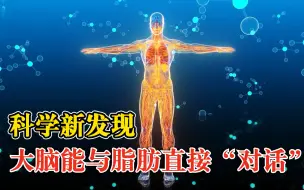 研究发现大脑能与脂肪直接对话