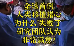 全球首例人类移植猪心，虽然“失败”研究团队还挺满意？