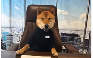 马斯克“任命”一只柴犬担任推特CEO 宣布自己计划年底卸任