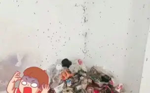 不忍直视！广东一女子租房垃圾成堆,蟑螂爬满墙壁,清出6袋垃圾