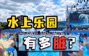 花200去水上乐园，满池子尽是青蛙蜘蛛，游客：再也不敢去了！