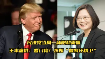 民进党当局一味附和美国，专家痛批：看门狗！犹如“复制汪精卫”