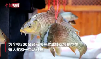 广西一小学期末奖励优秀学生活鲤鱼 寓意“鱼跃龙门