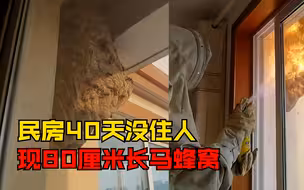 民房40天没住人现80厘米长马蜂窝，房主报警求助消防20分钟搞定