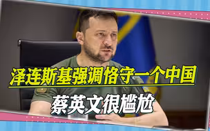 乌克兰强调恪守一个中国，台前官员盛赞中国外交，哀叹蔡英文太嫩