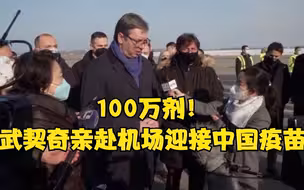 武契奇亲赴机场接中国疫苗：不怕承认和中国关系极好