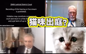 美国律师线上出庭 “变脸”猫咪