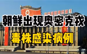 朝鲜发现新冠奥密克戎BA.2变异毒株，将实施最高级别国家防疫计划