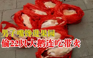 男子嘴馋偷22只大鹅连吃带卖：冰箱里搜出多只被宰杀的家禽