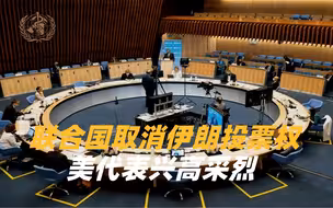 联合国也欺软怕硬？伊朗因拖欠会费被剥夺投票权，美才是最大老赖