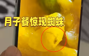 月子餐惊现蜘蛛 宝妈吓得没食欲！负责人却说…