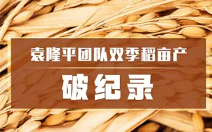 破纪录！袁隆平团队双季稻亩产超1500公斤！产超1500公斤！